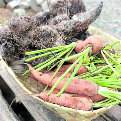 ‘Tinola’ for Rizal, ‘nilitsong manok sa saha’ for .